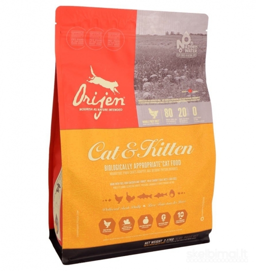 Orijen chat et chaton